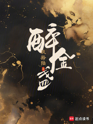 醉金盏封面