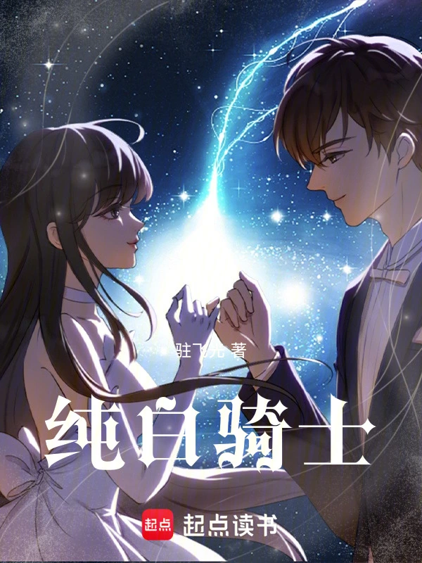 纯白骑士