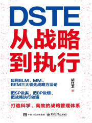 DSTE：从战略到执行