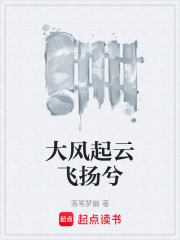 大风起云飞扬兮