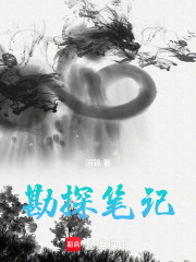 勘探笔记在线阅读