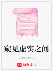 窥见虚实之间