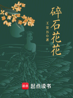 碎石花花在线阅读