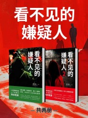 看不见的嫌疑人（共2册）在线阅读