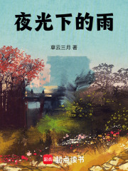 夜光下的雨