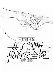 为救白月光，妻子割断我的安全绳在线阅读