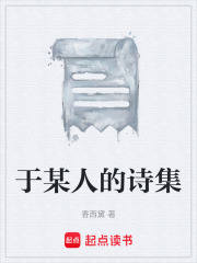 于某人的诗集