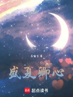 盛夏卿心在线阅读
