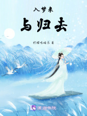 入梦来与归去在线阅读