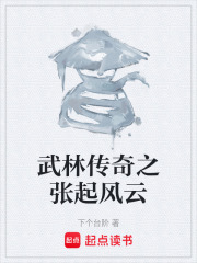 武林传奇之张起风云在线阅读