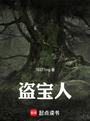 盗宝人在线阅读