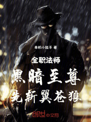 全职法师黑