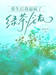 重生后我逼疯了绿茶舍友
