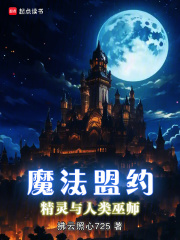 魔法盟约：精灵与人类巫师