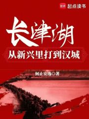 长津湖：从新兴里打到汉城在线阅读