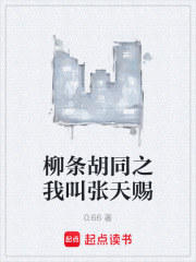 柳条胡同之我叫张天赐