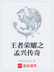 王者荣耀之孟兴传奇在线阅读