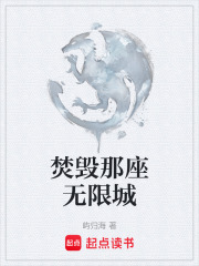 焚毁那座无限城在线阅读