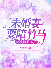 未婚妻要陪竹马去冰岛看极光在线阅读