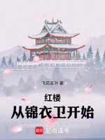 红楼从锦衣卫开始在线阅读