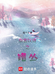 杂言以诗之错丛在线阅读