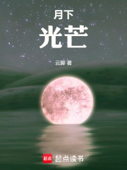 月下光芒在线阅读