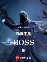 我真不是BOSS啊！