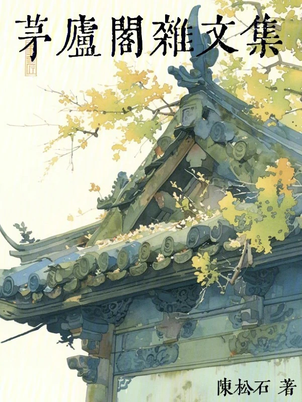 茅庐阁杂文集