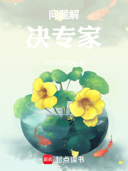 问题解决专家
