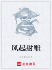 风起射雕在线阅读