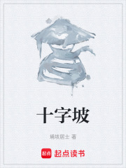十字坡在线阅读
