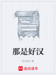 那是好汉在线阅读