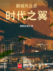 鹏城风云录：时代之翼在线阅读
