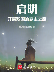 启明：开局残国的霸主之路