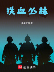 铁血丛林在线阅读