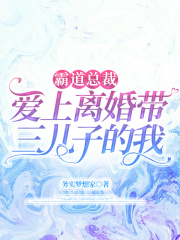 霸道总裁爱上离婚带三儿子的我在线阅读