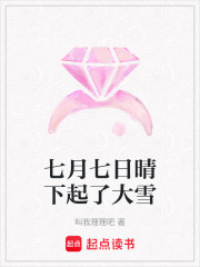 七月七日晴下起了大雪在线阅读