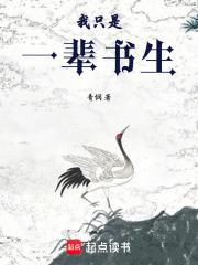 我只是一辈书生