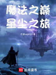 魔法之巅：星尘之旅在线阅读