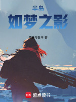 半岛如梦之影封面
