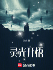 灵光开悟在线阅读