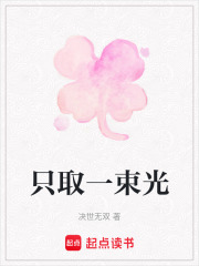 只取一束光在线阅读