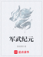 军武纪元