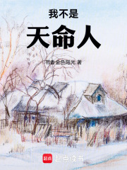 我不是天命人在线阅读