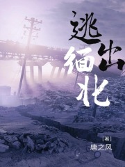 逃出缅北在线阅读