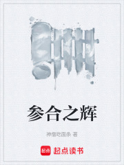 参合之辉在线阅读