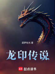 龙印传说