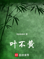 叶不黄在线阅读