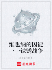 维也纳的囚徒一一铁锈战争在线阅读