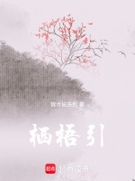 栖梧引在线阅读